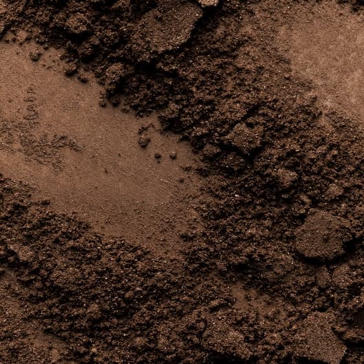 The I Do Crew Package