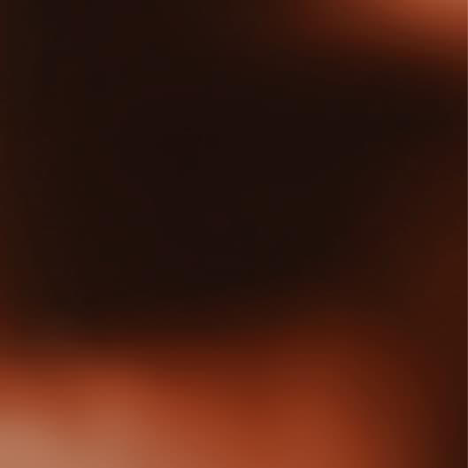 Express Spray Tan Bundle